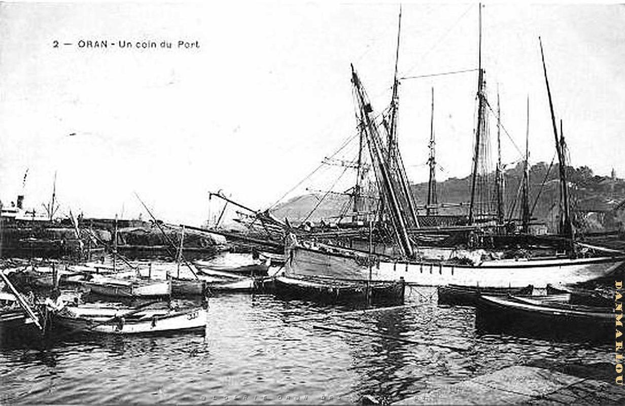 PO e- 268.jpg